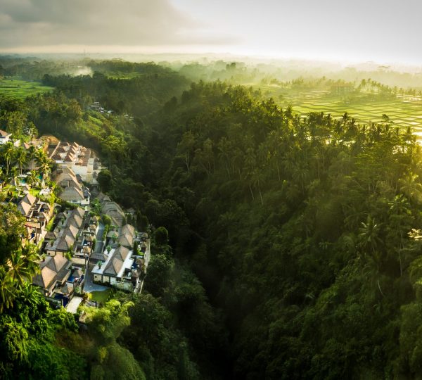 Viceroy Property