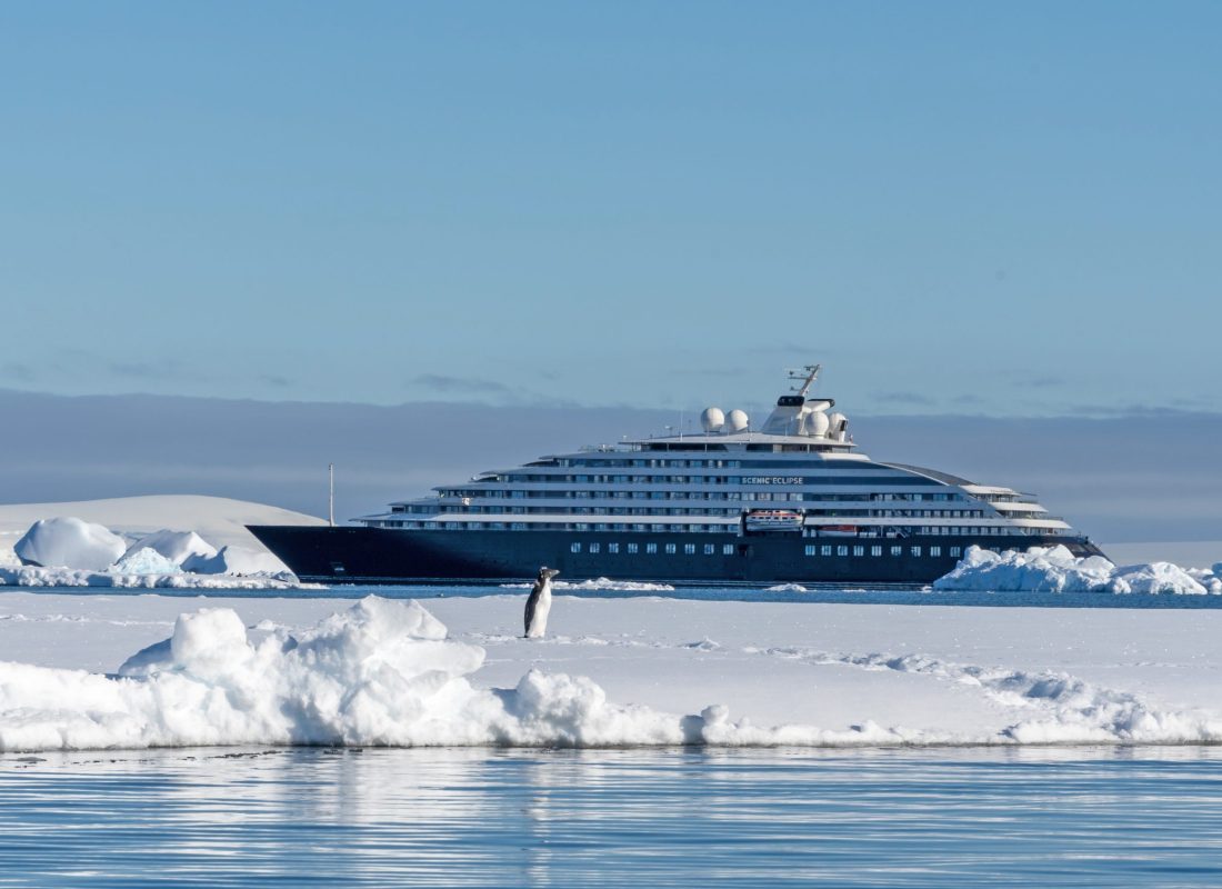22_Adelie Penguin on Ice and Scenic Eclipse at Fish Islands_Voyage 101S_V5_Antarctica_Feb 28 to Mar 11_2022_by Pablo Bianco Scenic Eclipse